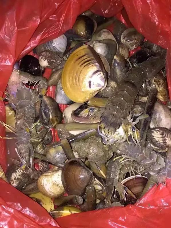 要说,晚上哪里最多人,可能真的要数犀牛脚大环渔村月亮湾,看看这人头