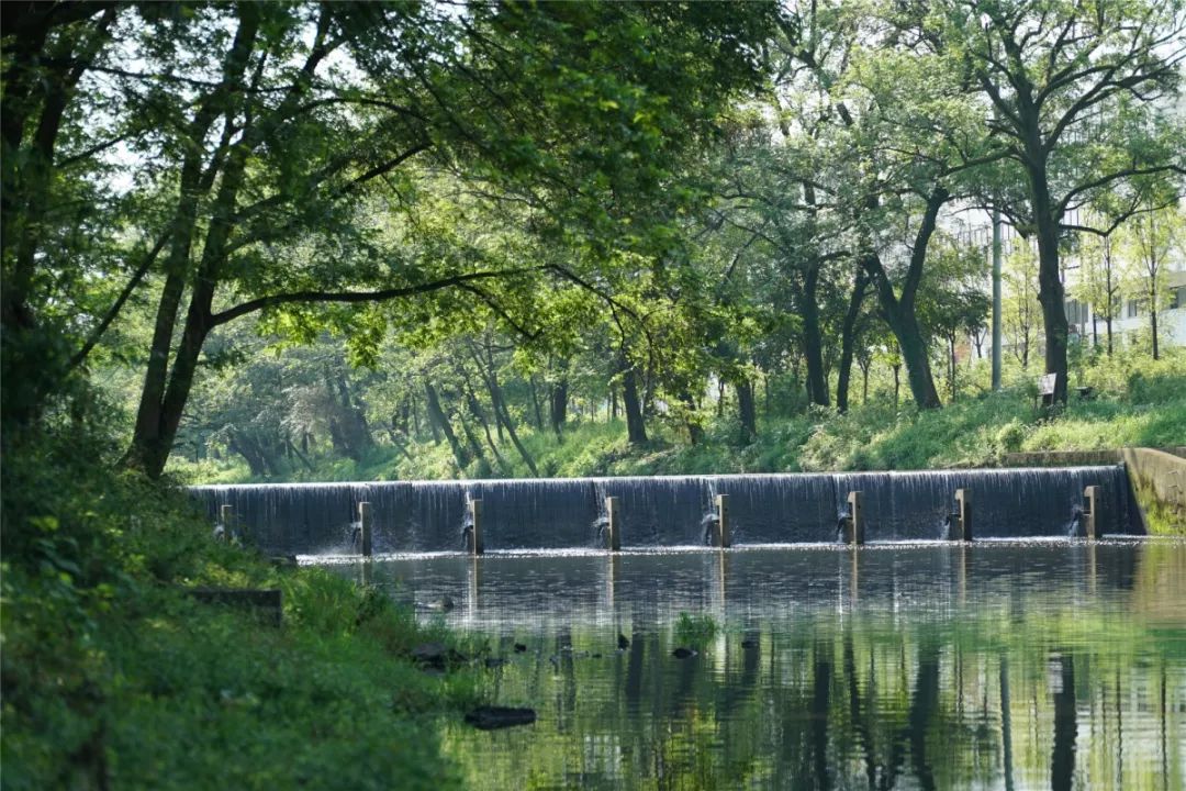 2019年永康市"十大最美河流"评选开始啦!家乡溪河等您投票!_河道