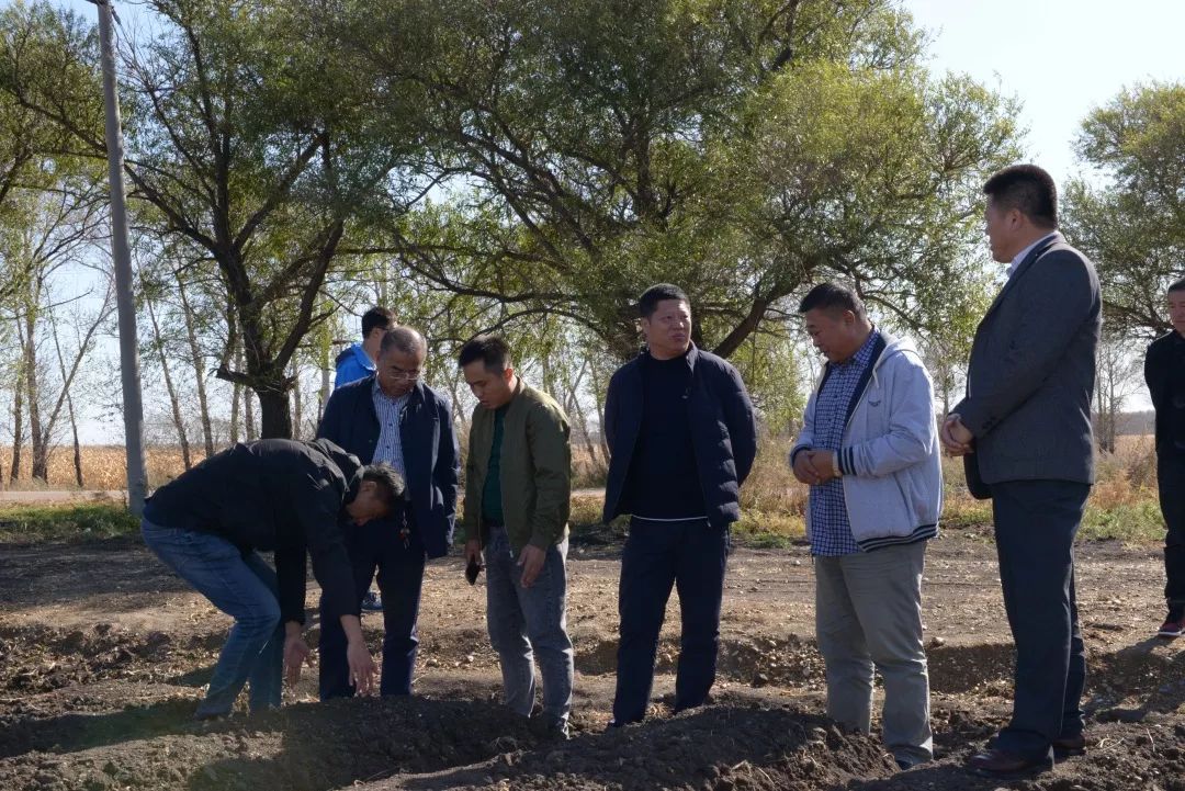 齐齐哈尔分公司秸秆禁烧督导组到克山农场督导检查秋收生产及秸秆禁烧