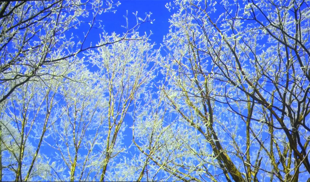 8K，两个冒险孩子之间的合作