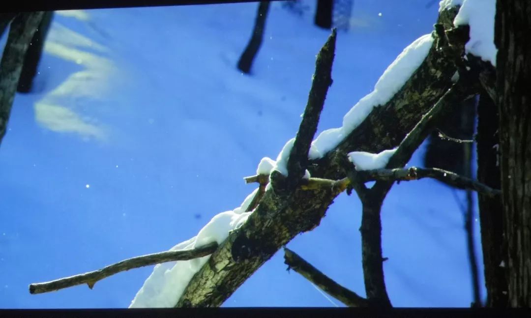 8K，两个冒险孩子之间的合作