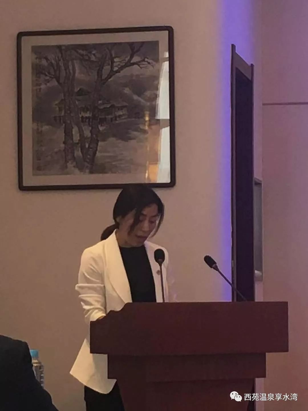 会议由平山县委宣传部组织,平山县委常委宣传部长付红瑜主持会议,河北