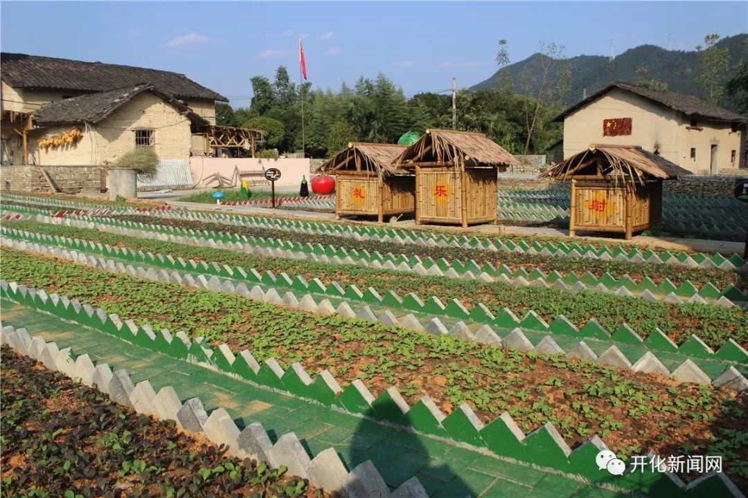 想过田园生活城市里的你也可以开化下溪村梦想菜园等你来认领
