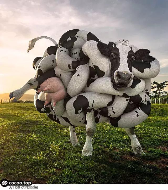 幽默化的图形创意风格!别有风趣