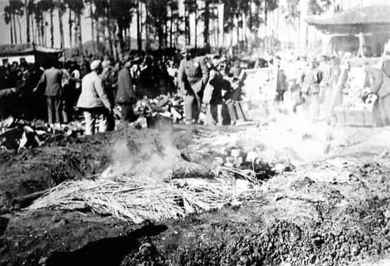 70年不得不说的新中国禁毒故事