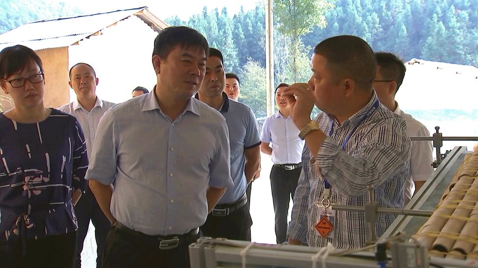 县委副书记县长曾文军到双桥潭埠调研花炮企业生产