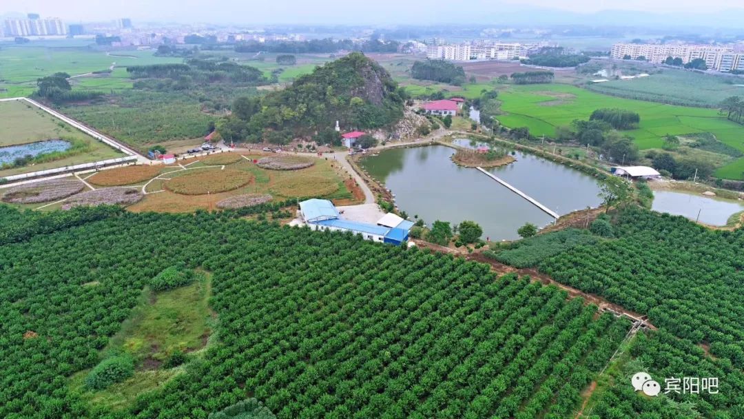 暖心重阳节宾阳黎塘这个村老人们乐开了花