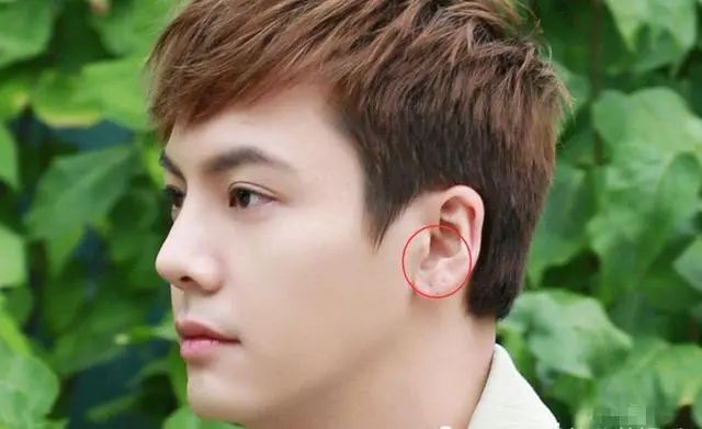 陈伟霆便是如此,他两只耳朵都打了耳洞,这左耳粗粗一看至少打了四个