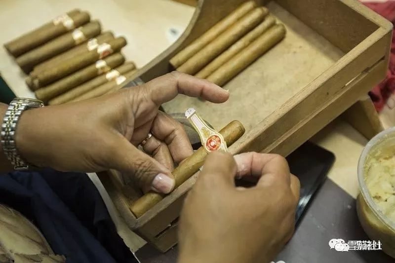 古巴雪茄2020年新品测试活动举行 王政详解雪茄测试环节奥秘