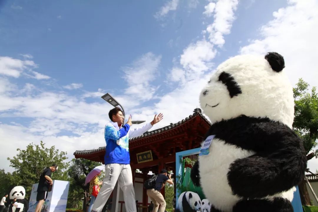 【社區分享】2019北京世園會今晚舉辦閉幕式 回顧北京世園會162天精彩