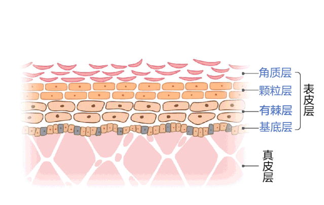 639_405gif 动态图 动图