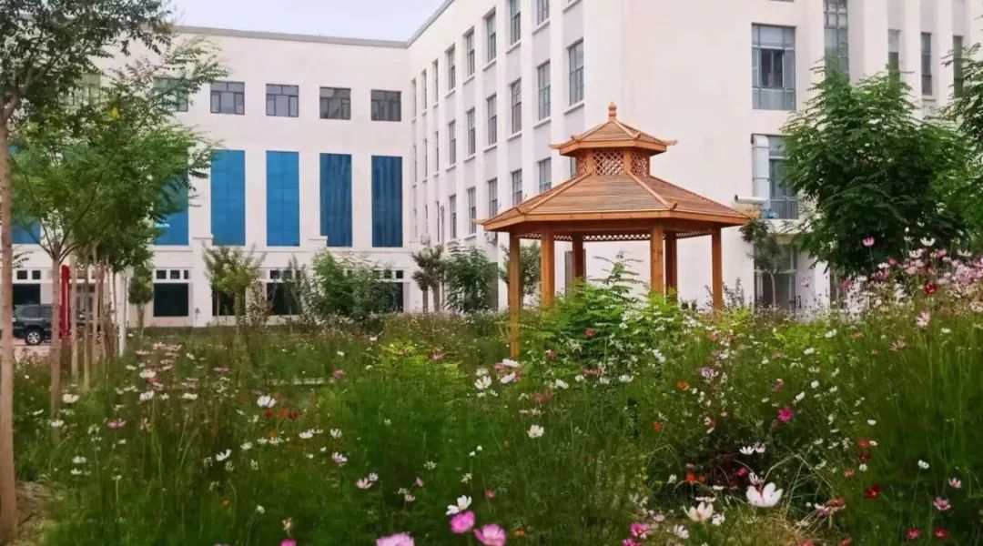 事业单位新疆和田地区皮山县人民医院自治区人民医院托管医院招聘公告