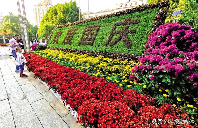 阳泉:缤纷花海迎国庆
