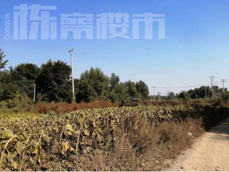 地块实景图该地块位于沈抚新区北部四环内,位置上临近浑河,东至金紫街