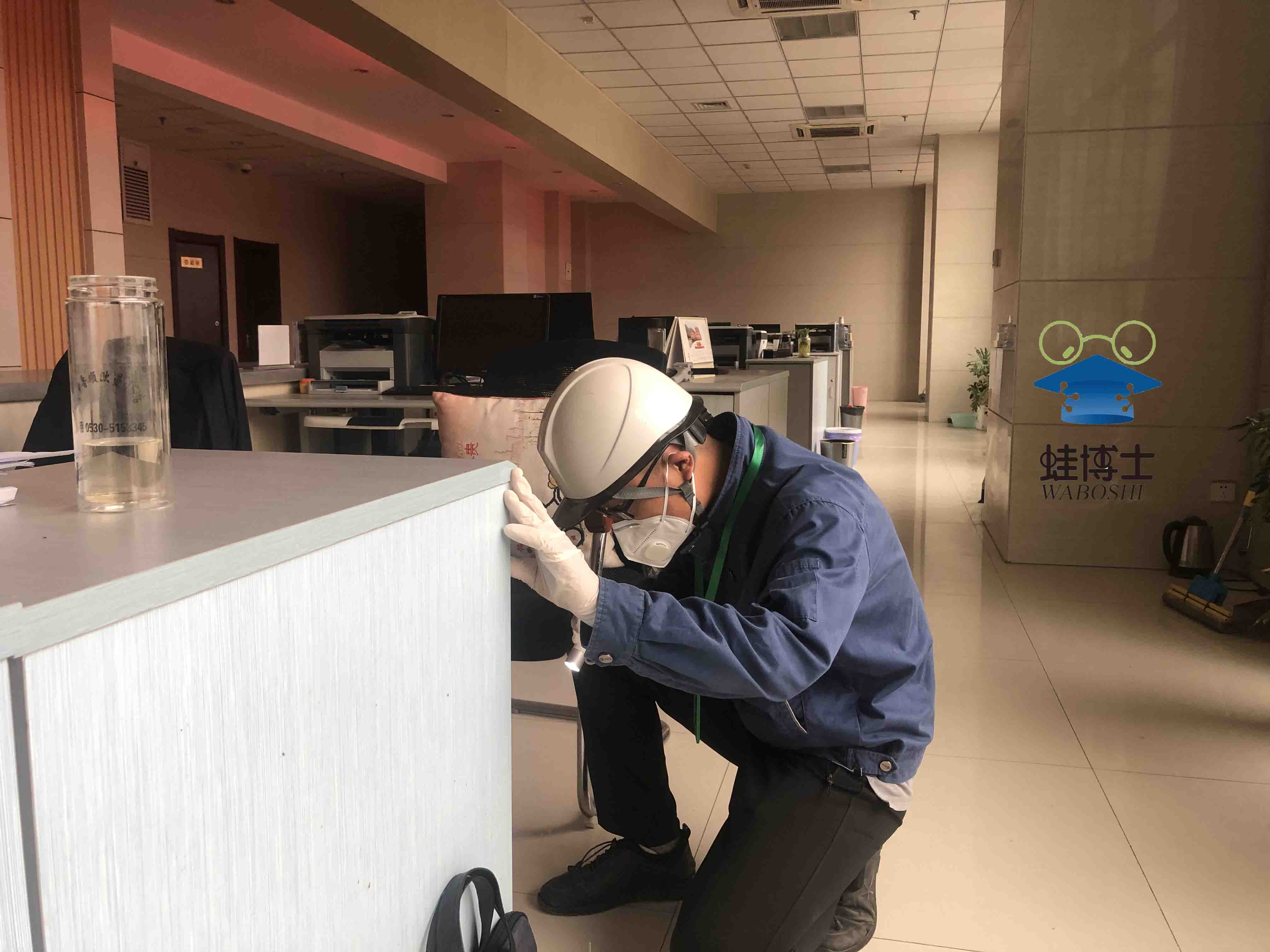 济宁灭蟑螂防制问题