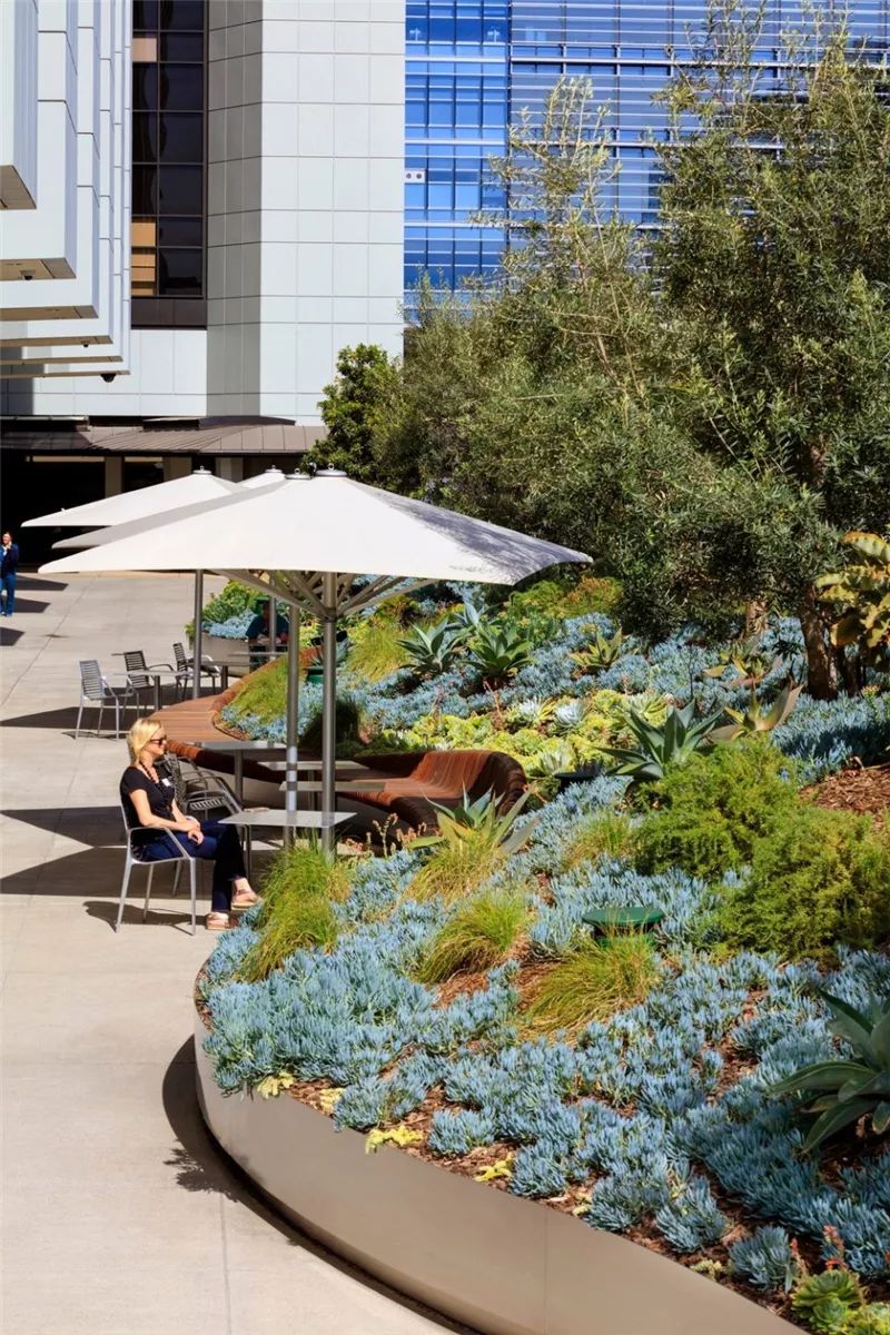 roof landscape design绿色屋顶生态环境空间中,绿色环保理念是长期