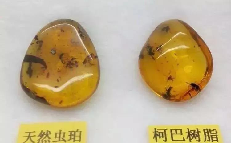 央視打假珠寶奸商！這3大騙局4種小伎倆坑人無數……