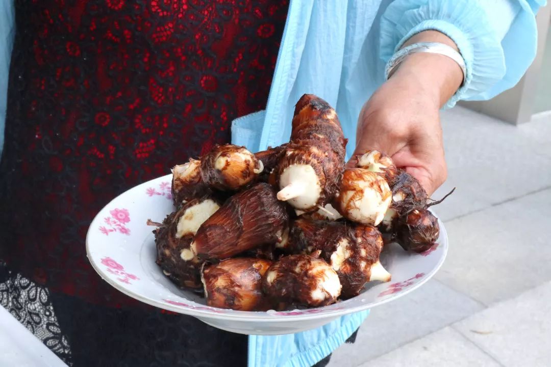 挖芋艿也是门技术活看看好吃的芋艿怎么来的