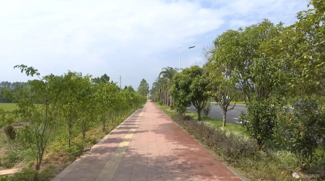 清远民族工业园园区周边道路完成了一次"大变身"_景观