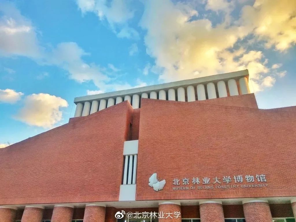 2019级新生开学典礼上,近6000名来自全国各地的新生加入北林大家庭,踏