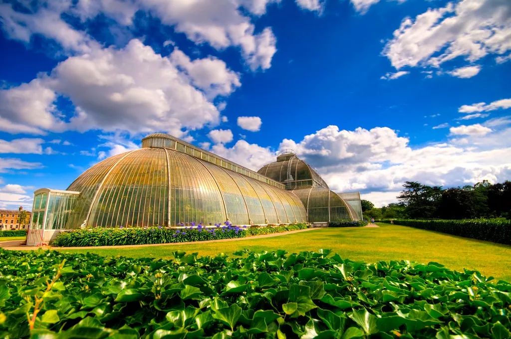 走近植物界的大英博物馆邱园kewgardens