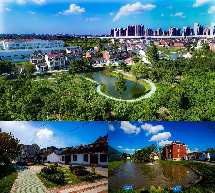 风景这边独好罗店镇各村走在希望的田野上农村新貌美不胜收