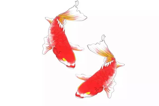 11月香港医考lmchk临床实操考即将到来,一年仅有两次机会!