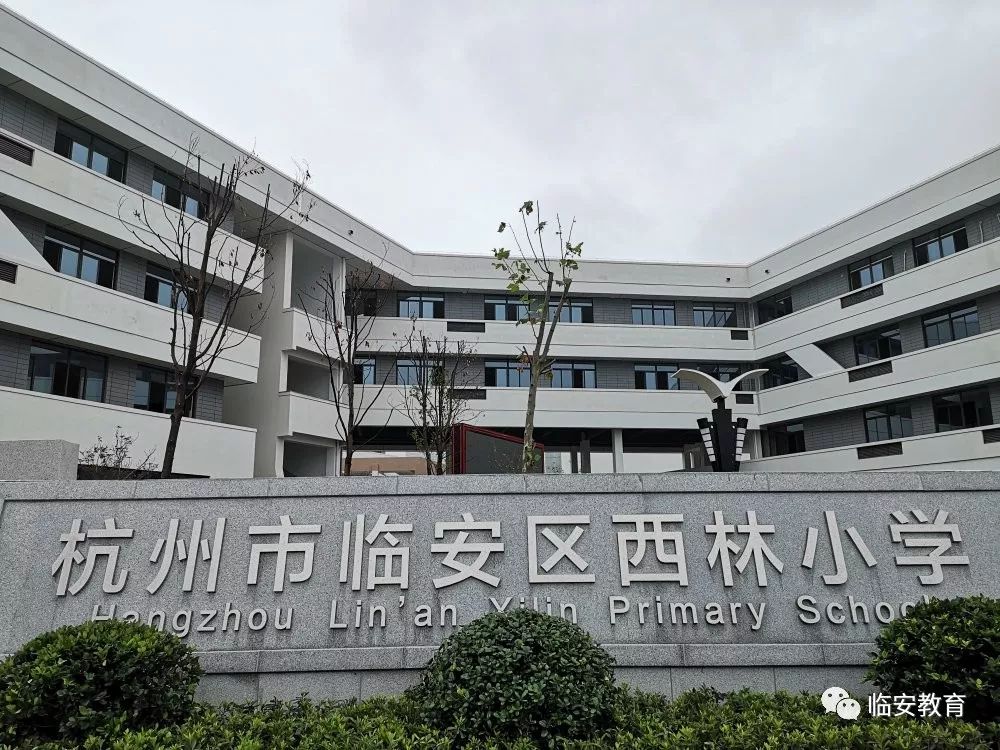 航模海模室……临安这所小学惊艳亮相,打造设施功能一流的学校_西林