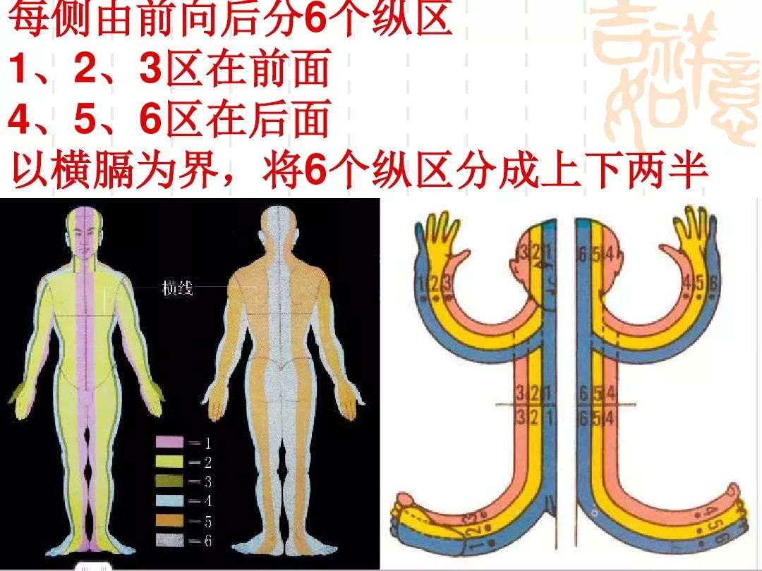 腕踝针疗法的应用
