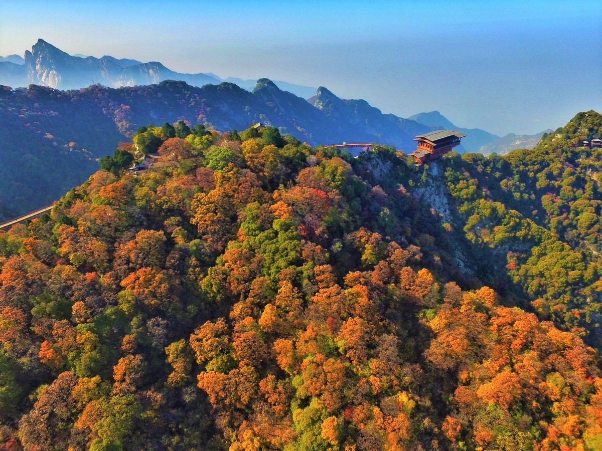 少华山红叶节图片