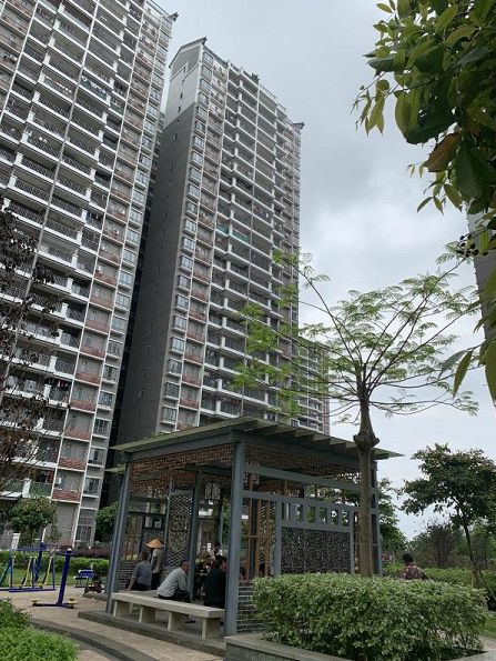 19925596664 安居地产 麦经理新豪轩一期小区:新豪轩一期楼层:电梯中