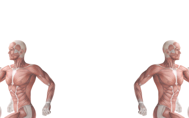 640_400gif 动态图 动图