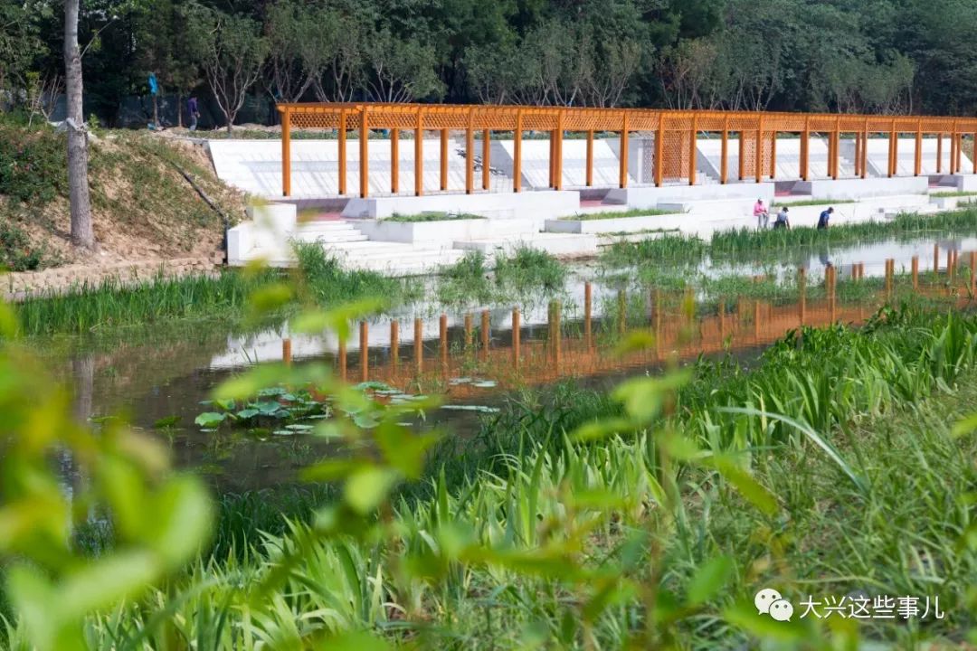 从地图上看,新凤河属北运河水系凉水河支流,位于大兴区西北部,南五环