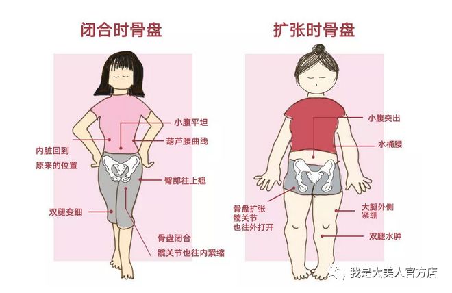 但其实骨盆变形的影响远远不止这些,包括:引发内脏下垂,子宫卵巢和