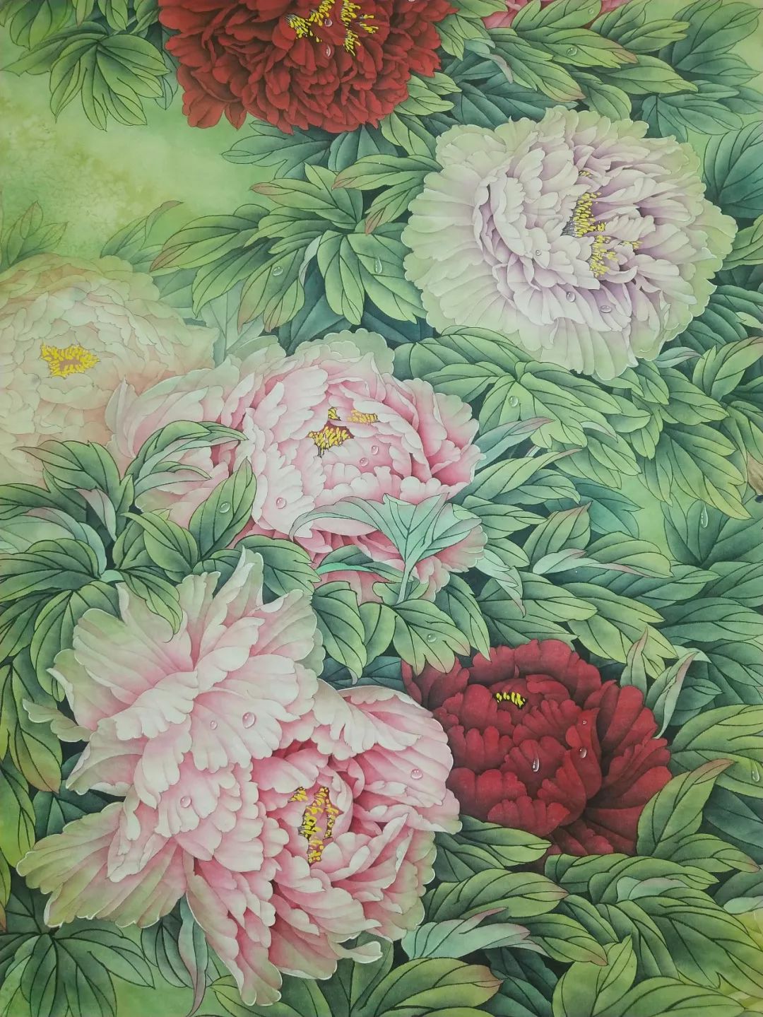 徐沛沛工笔牡丹网络班招生180元学4尺大画