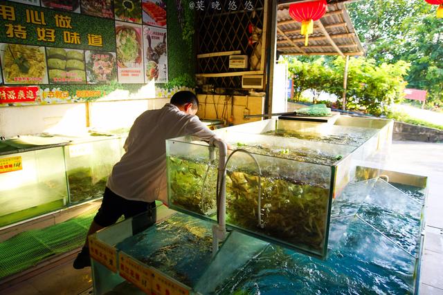 这个被称为广东最美的城市,有着让人向往的生活方式_肇庆