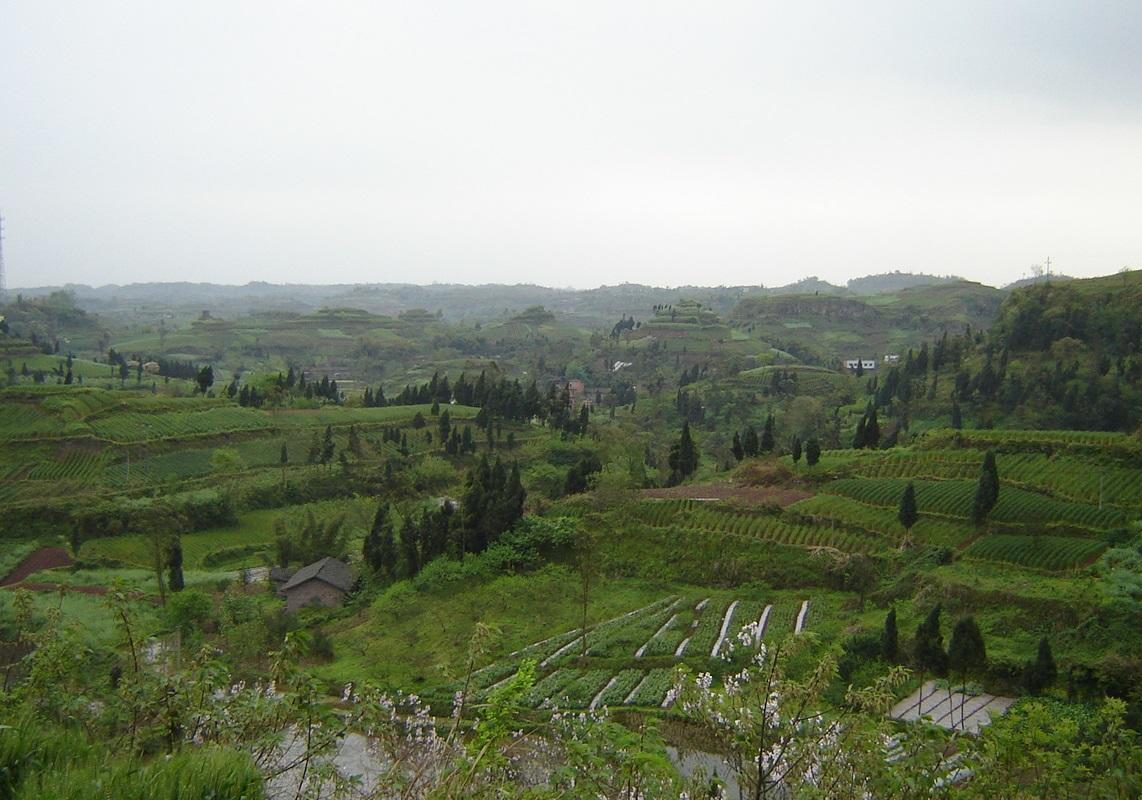 原創原來在四川盆地內部還有平原丘陵和平行狀嶺谷等地形區的分佈