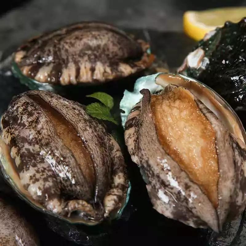 这个菜能在家做,谁还去餐厅吃啊!_鲍鱼