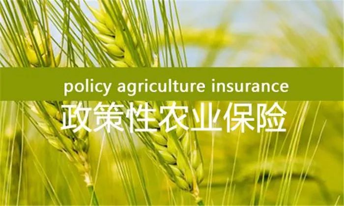 第18号台风"米娜"来袭期间,宁波地区受理的首笔政策性农业保险理赔