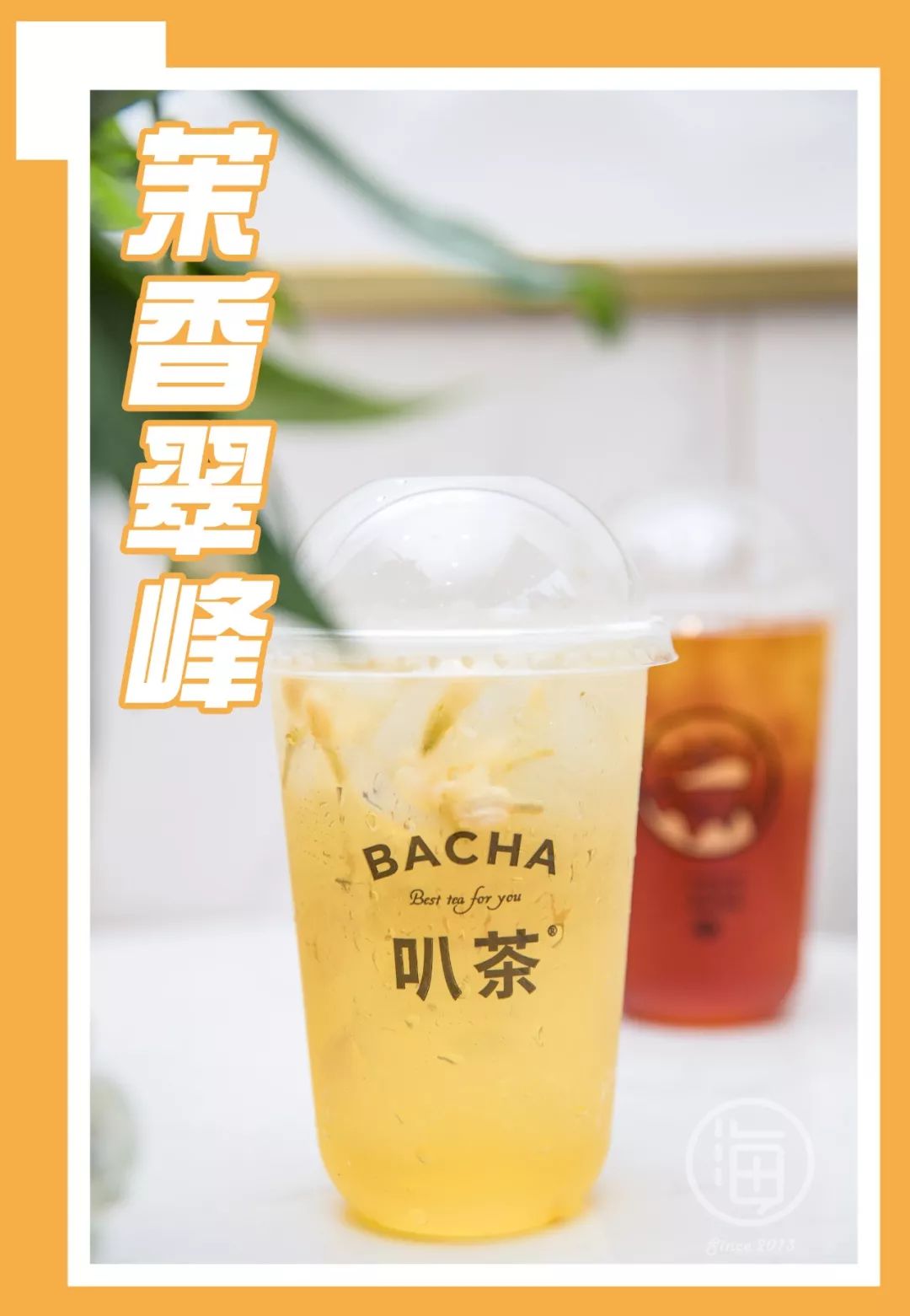 加入天然的茉莉花瓣与茶融合,香气清幽,很适合夏天.