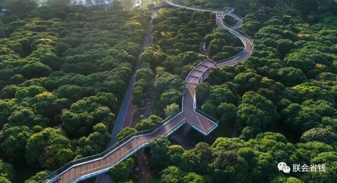 栈道变身为彩虹栈道在深圳这座寸土寸金的城市