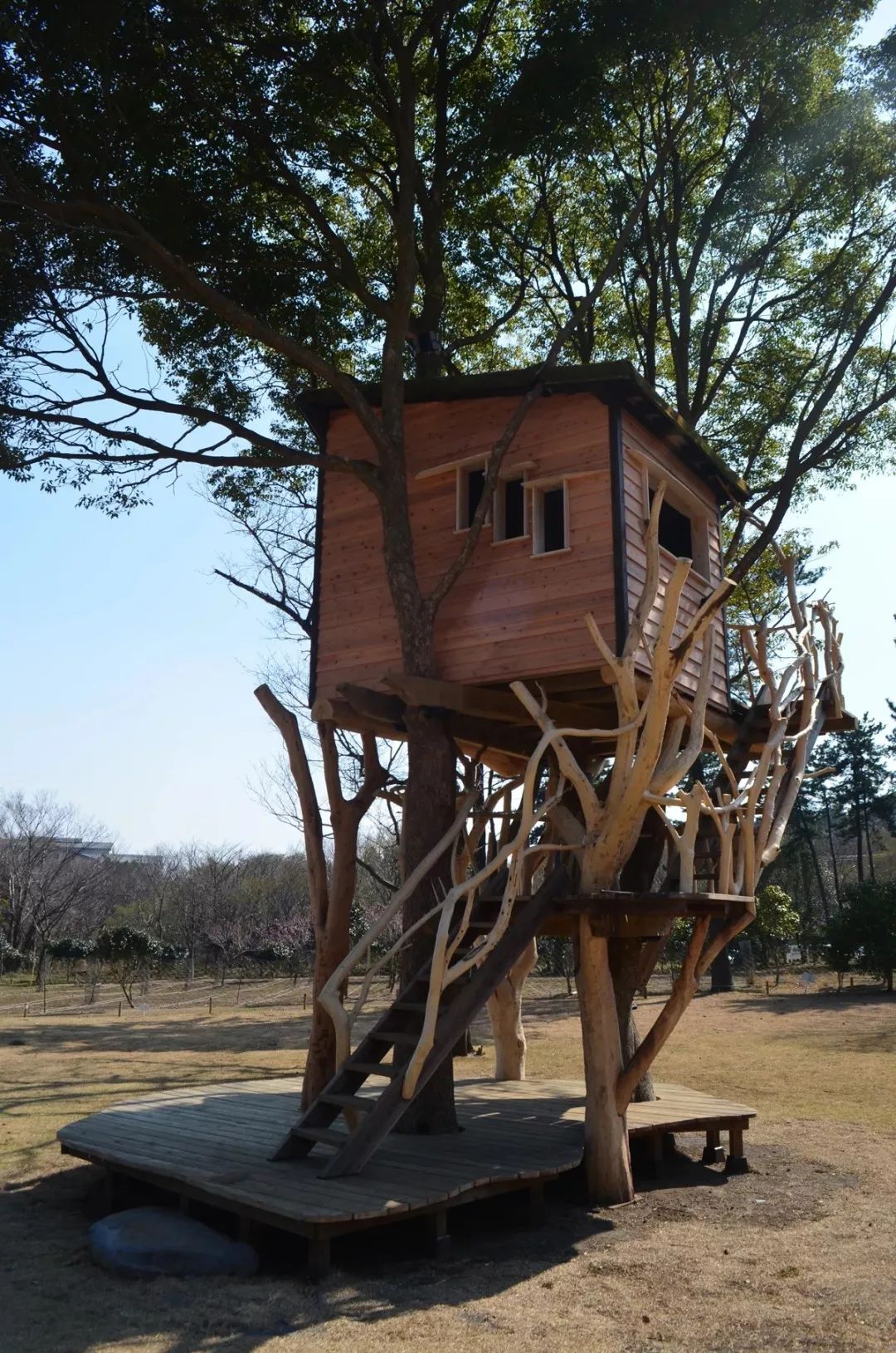 日本树屋设计第一人20多年自学建造150栋树屋只为失去家人的孩子圆一