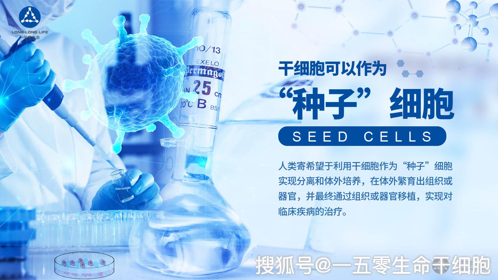 干细胞疗法治疗糖尿病肾病最新临床研究