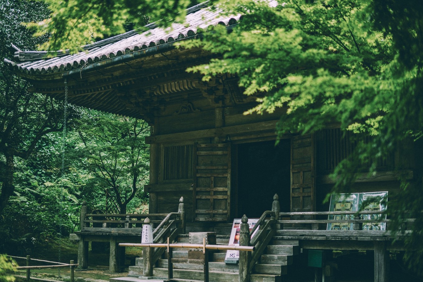 去鲁迅先生留学的仙台看一看——解锁日本小众目的地_中国