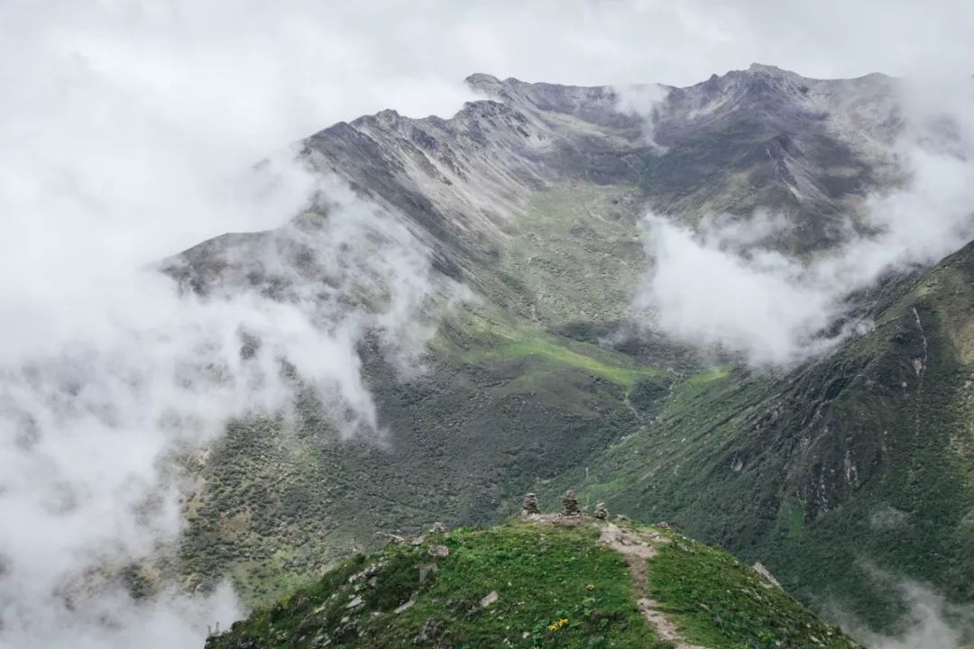 与花海共眠—巴朗山花海徒步出行回顾我