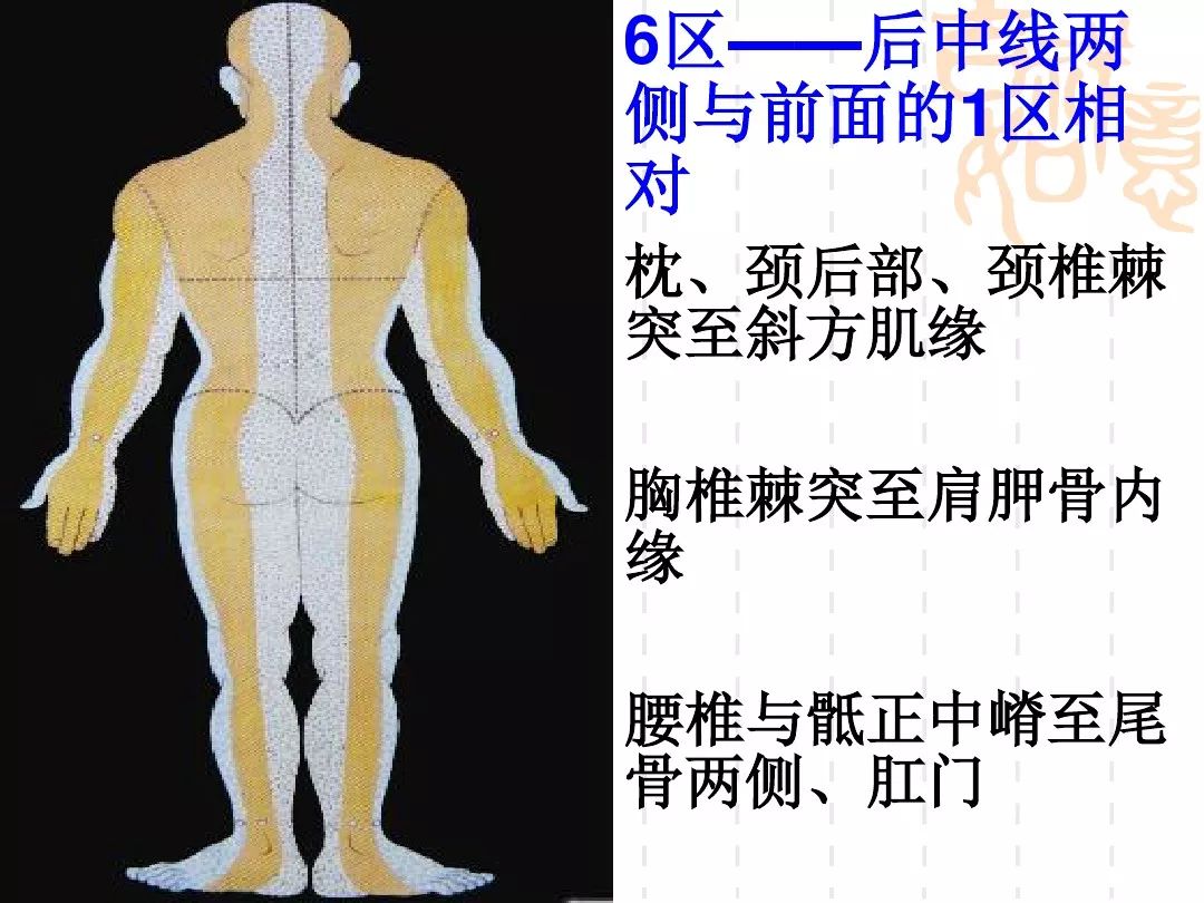 腕踝针疗法的应用