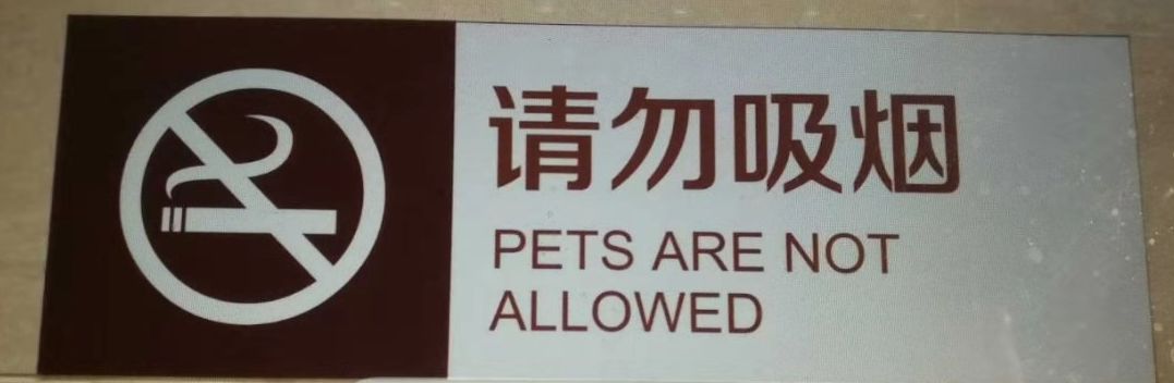 把老外带沟里的神翻译笑哭啊