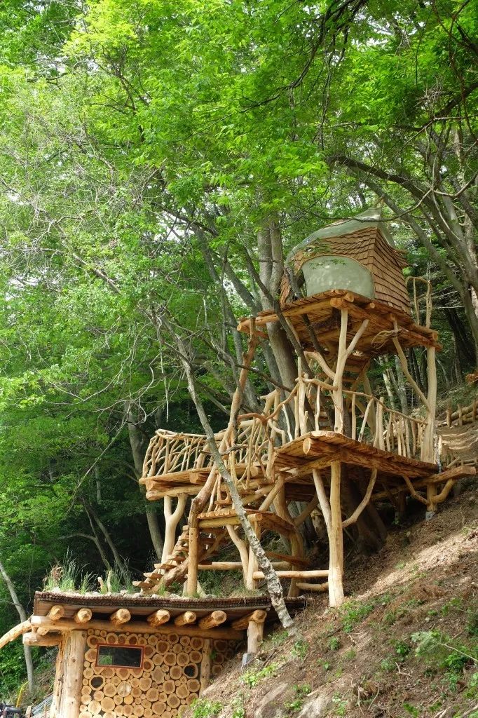 日本树屋设计第一人20多年自学建造150栋树屋只为失去家人的孩子圆一