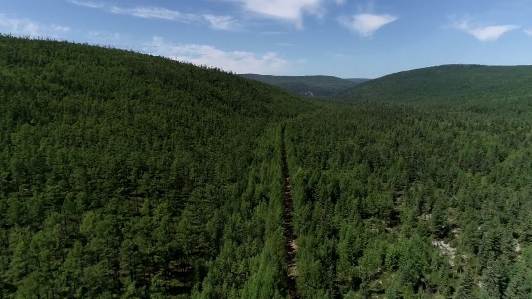 今天的《壮丽70年 奋斗新时代》采访报道组走进加林局古里林