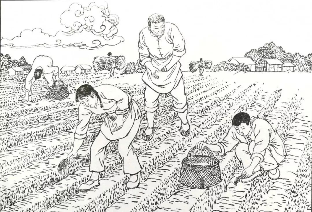 海安这些民俗或慢慢消失或已被遗忘